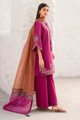 3 PC - EMBROIDERED DHANAK SUIT-HH19