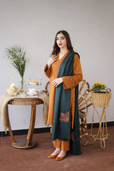 3 piece Dhanak Dress