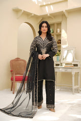 3 PC - EMBROIDERED DHANAK SUIT-HH56
