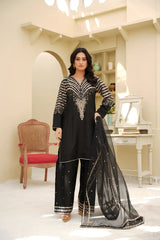 3 PC - EMBROIDERED DHANAK SUIT-HH56