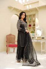 3 PC - EMBROIDERED DHANAK SUIT-HH56