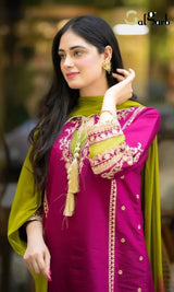 Meena-3pc Dhanak Emb Pshmina wool shawl hh09